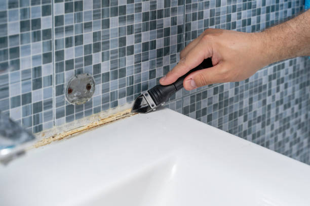 Best Affordable Mold Removal  in Poplar Grove, IL